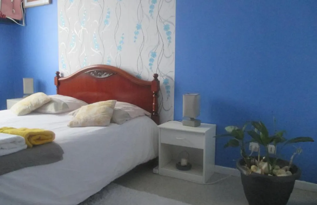 Cosy Room Croix Rousse-1