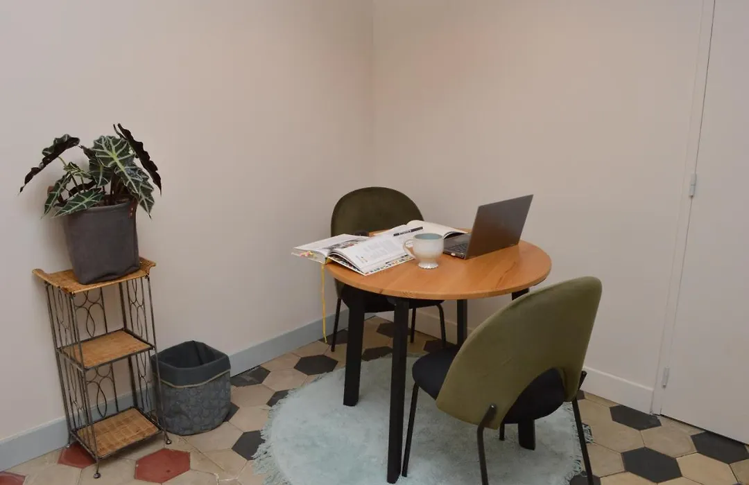 Studio de charme au cœur de Lyon-1