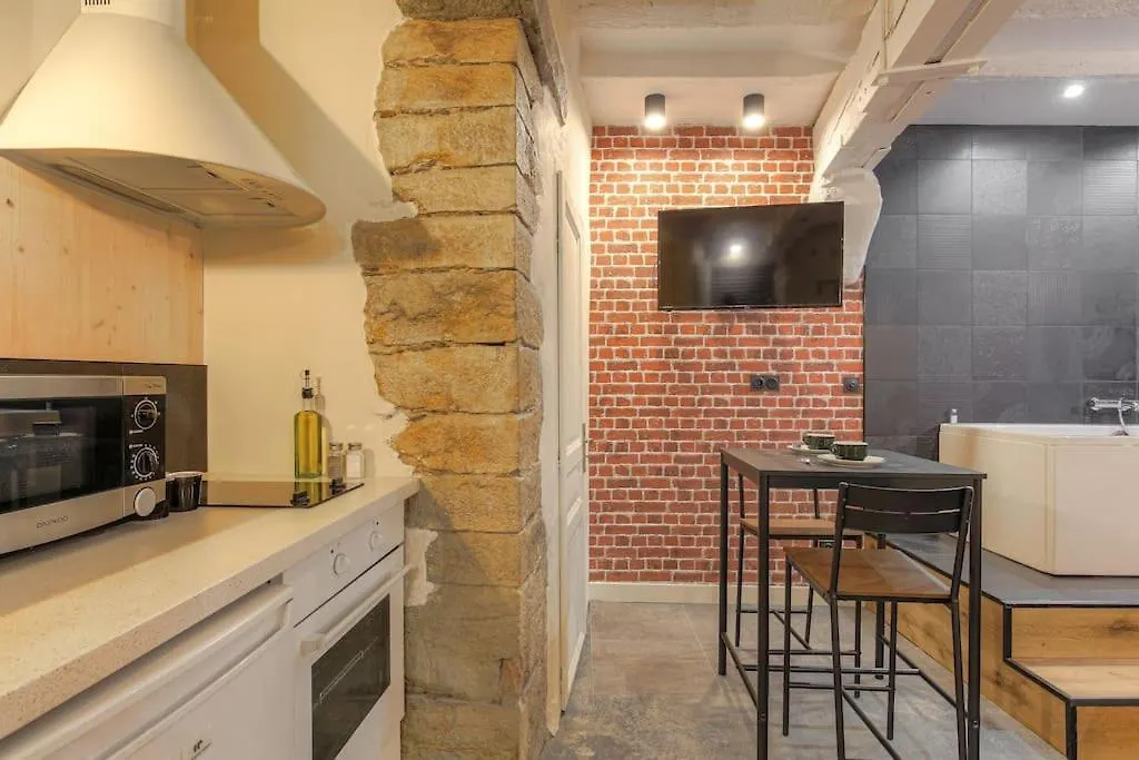 Industrial-Style Studio With Bathtub, Vieux-Lyon-1