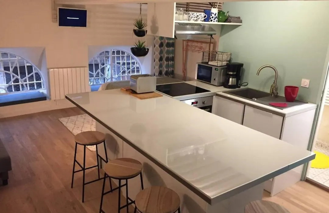 Elegant loft - 4 people - Place Sathonay-1