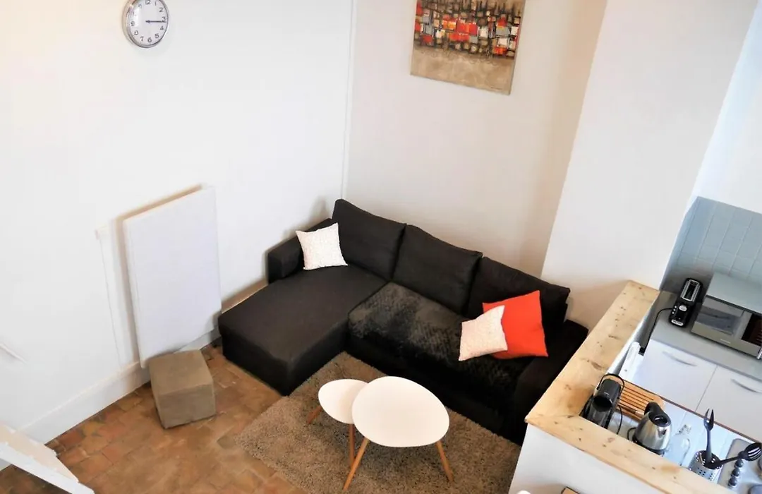 Spacious Studio Completely Renovated Right In The City Center-1