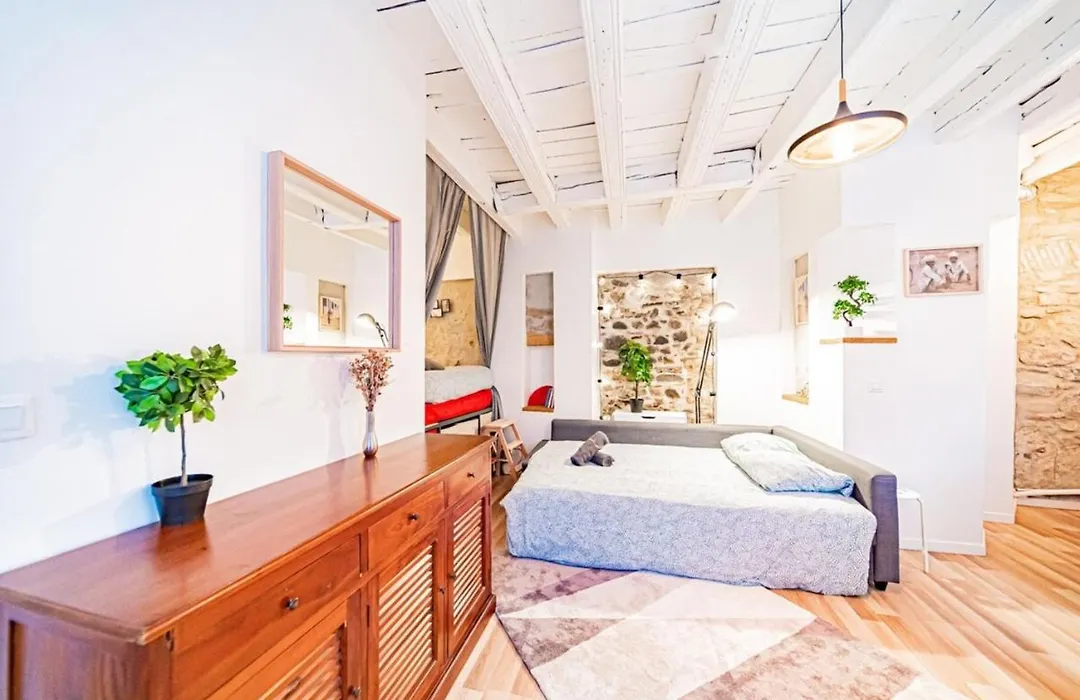 Le Petit St Paul Charming Studio T1 Bis In The Heart Of Old Lyon-1
