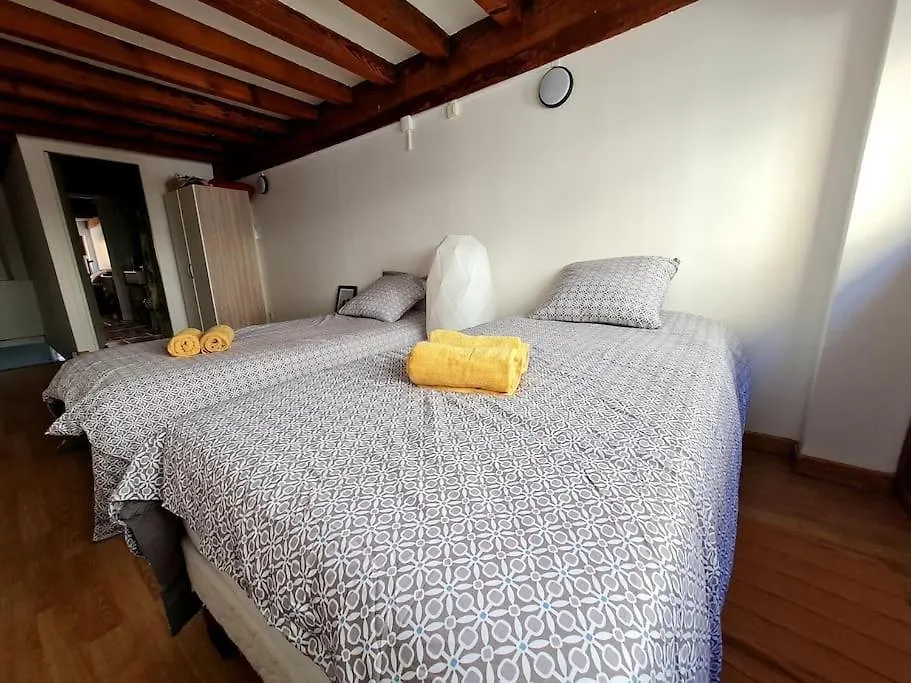 Duplex atypique loft Lyon 6-1