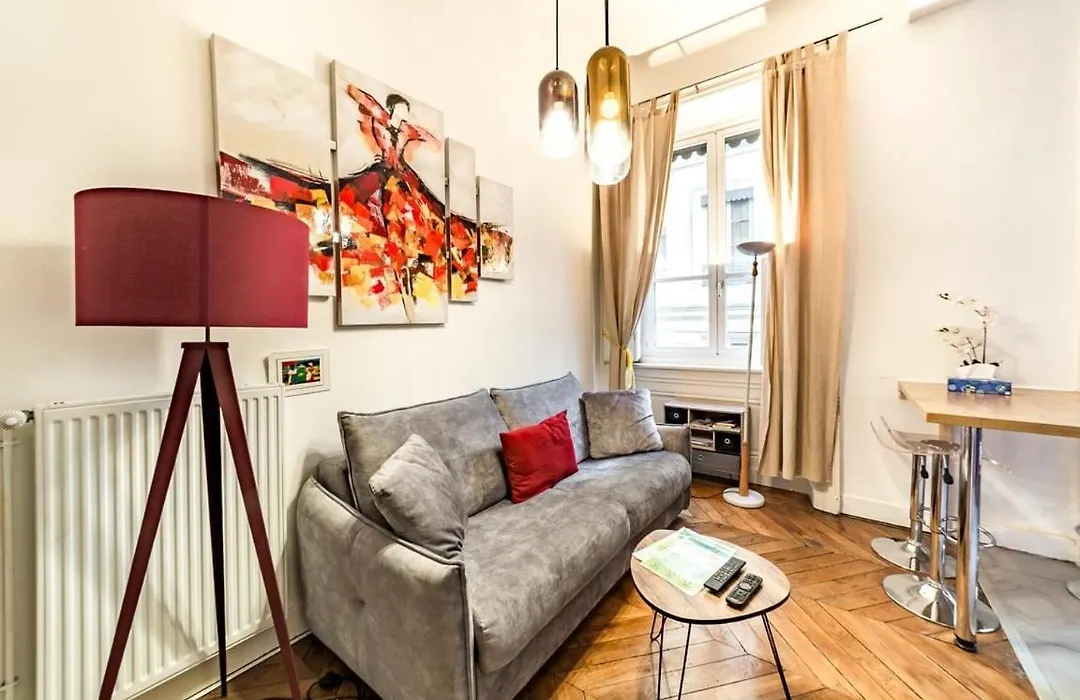 Perfect To Visit Lyon With Family Or Friends Ail-1
