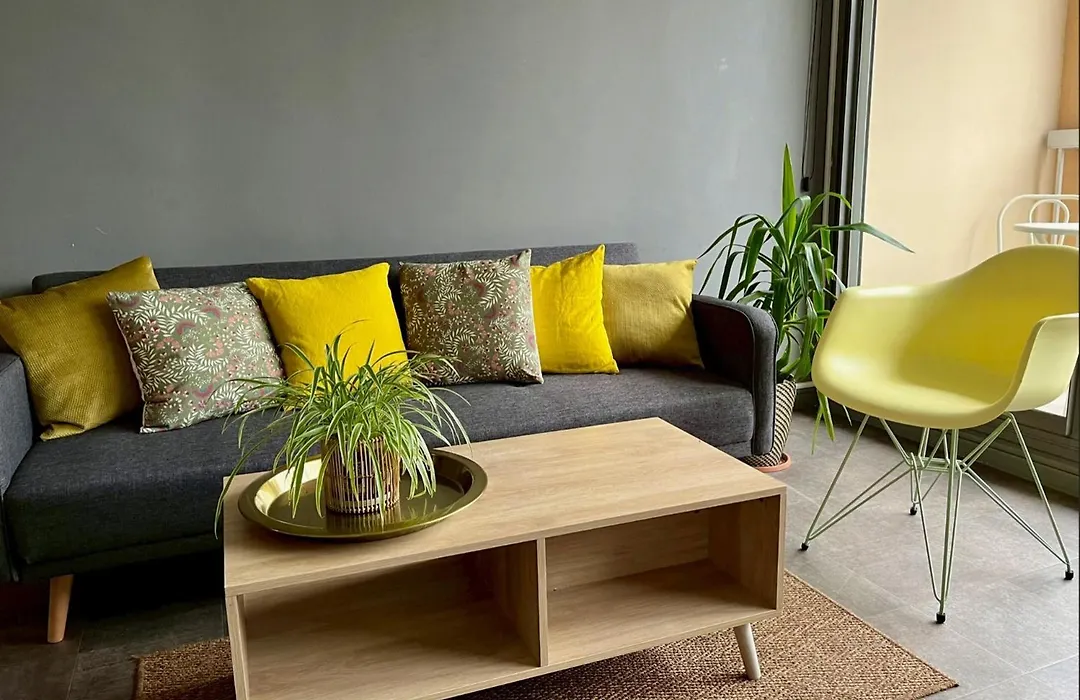 One Bedroom Apartment Centre Lyon Free Private Parking-1