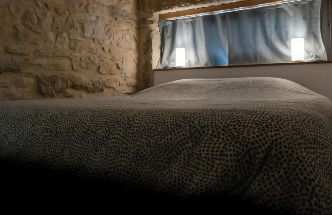 Duplex With Exposed Stone Heart Of Lyon 3Rd Arrondissement Near Part-Dieu-1