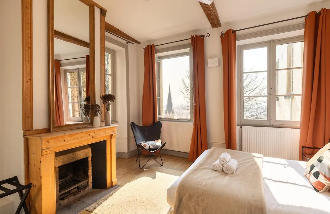 Duplex Spacieux Jardin Privé et Vue sur le Vieux-Lyon-1