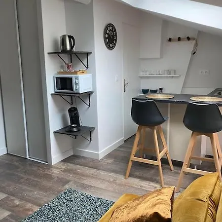 Studio cocooning et refait à neuf. Lyon 06-3