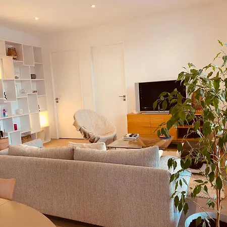 Appartement T3 Confluence-2