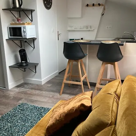 Studio cocooning et refait à neuf. Lyon 06-2