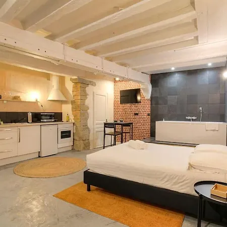 Industrial-Style Studio With Bathtub, Vieux-Lyon-3