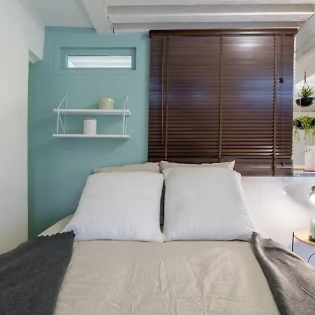 Elegant loft - 4 people - Place Sathonay-2
