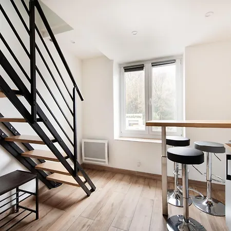 Cosy Duplex rénové parking gratuit Lyon 9-3