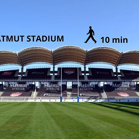 Lionne-Stade du Lou-2