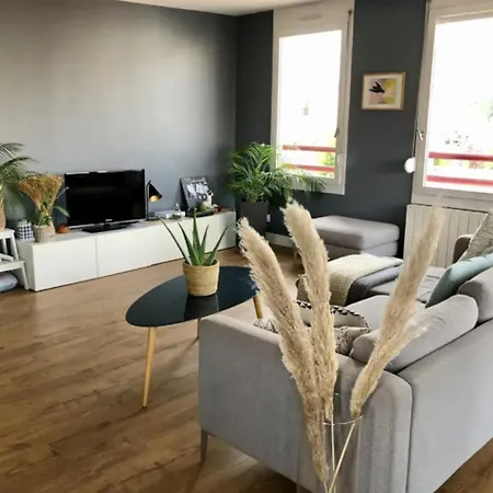 Appartement 2 chambres-garage Lyon Montchat-3