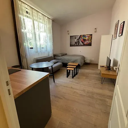 Suite Lyon Coeur Monplaisir-3