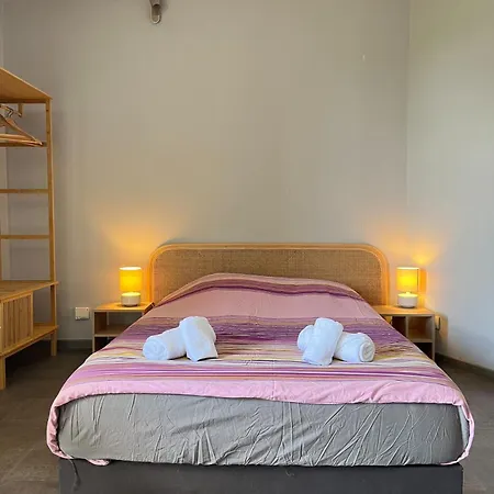 One Bedroom Apartment Centre Lyon Free Private Parking-3