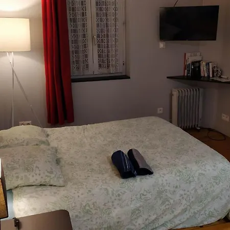 Studio Calme avec Jardin, Tram T6&Métro D, Proche Hôpital Mermoz et Édouard Herriot-3
