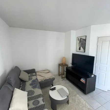 Superbe appartement à Lyon8 avec 2 balcons-3