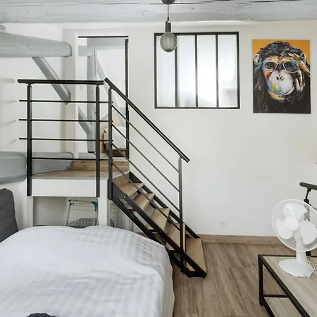 Duplex rénové parking gratuit Lyon 9-3