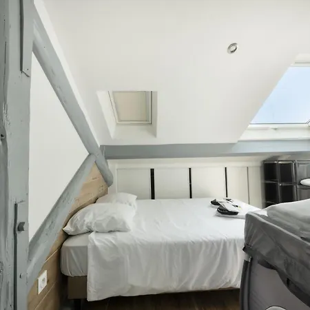 Duplex rénové parking gratuit Lyon 9-2