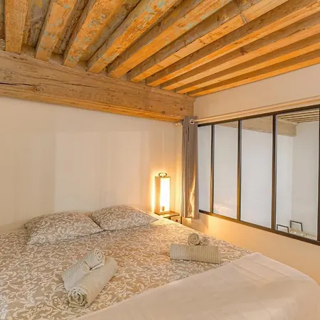 Appartement Le Canut Croix-Rousse Lyon Centre-3