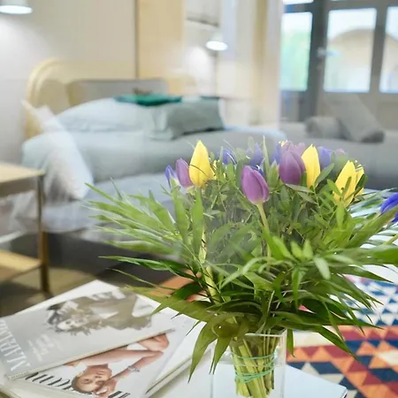 Apartment With Terrace - St Paul-3