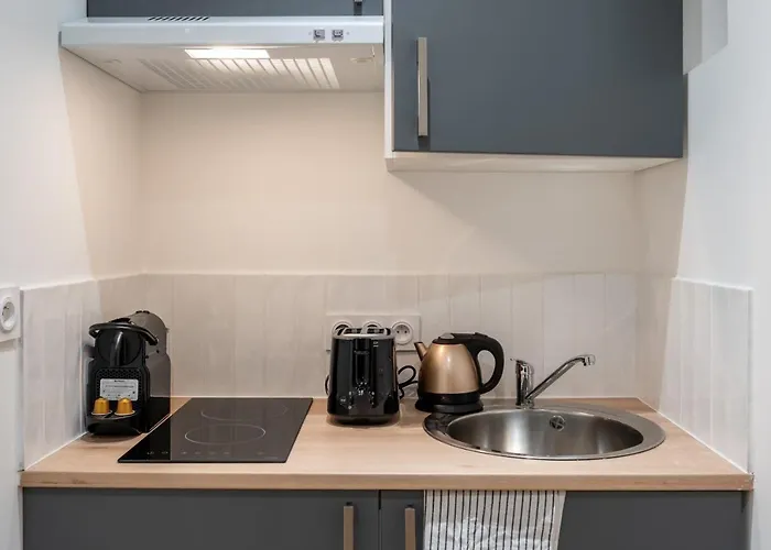 Appartement Le Cocon De Paris à Lyon