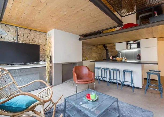 Appartement Duplex Le Vorace à Lyon