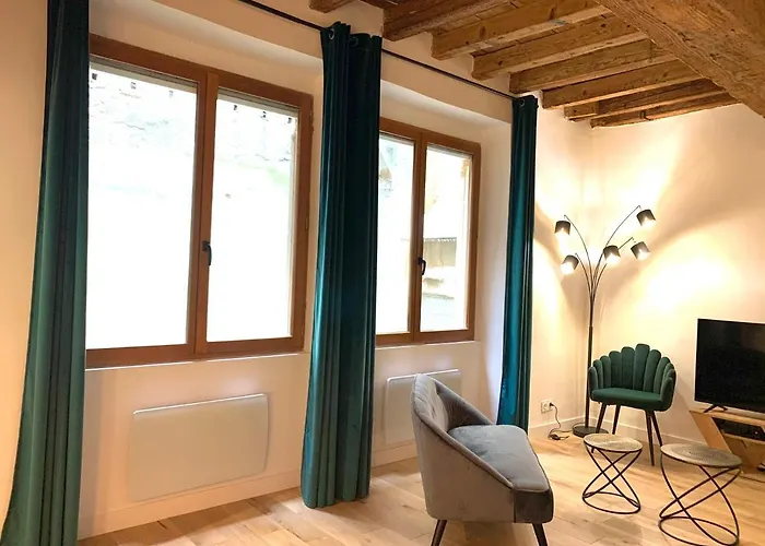Appartement Luxe et Calme en Hyper Centre - La Cour des Bois à Lyon