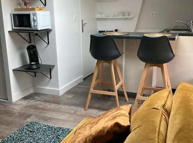 Studio cocooning et refait à neuf. Lyon 06
