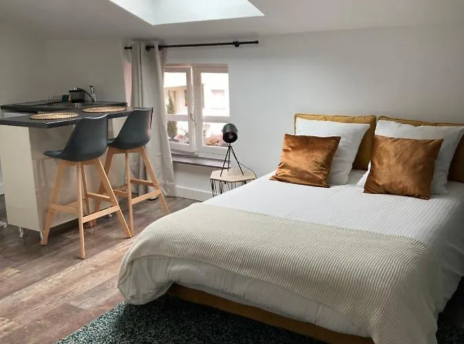 Studio cocooning et refait à neuf. Lyon 06