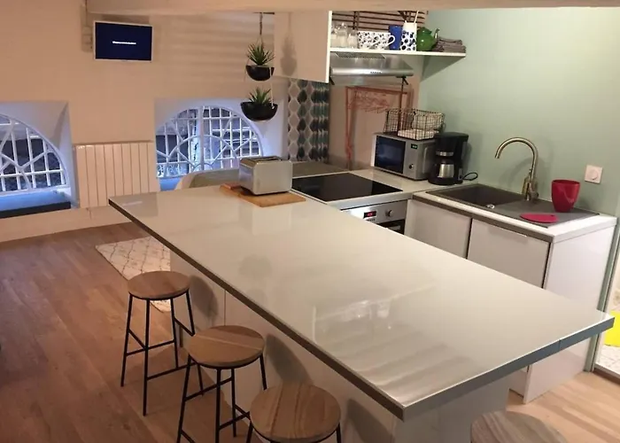 Elegant loft - 4 people - Place Sathonay Lyon