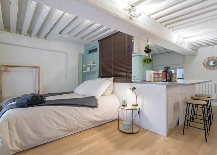 Elegant loft - 4 people - Place Sathonay Lyon