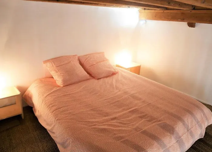 Spacious Studio Completely Renovated Right In The City Center Lyon