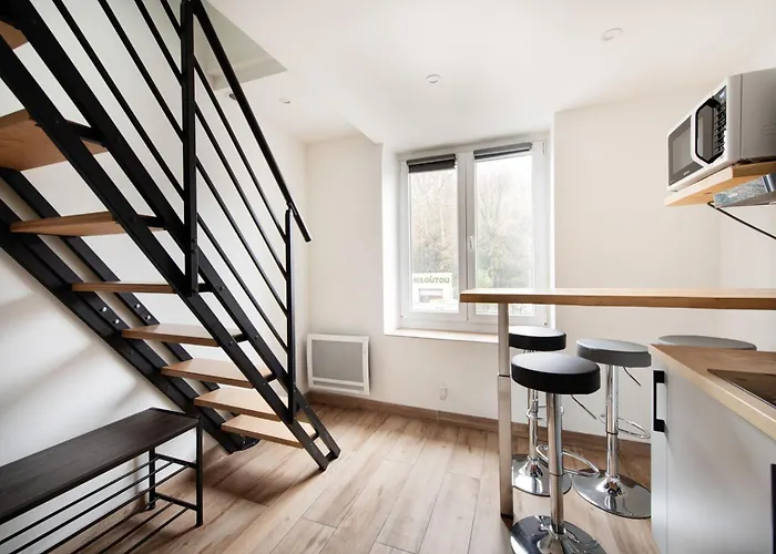 Appartement Cosy Duplex rénové parking gratuit Lyon 9