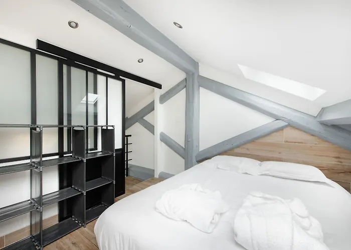 Appartement Cosy Duplex rénové parking gratuit Lyon 9