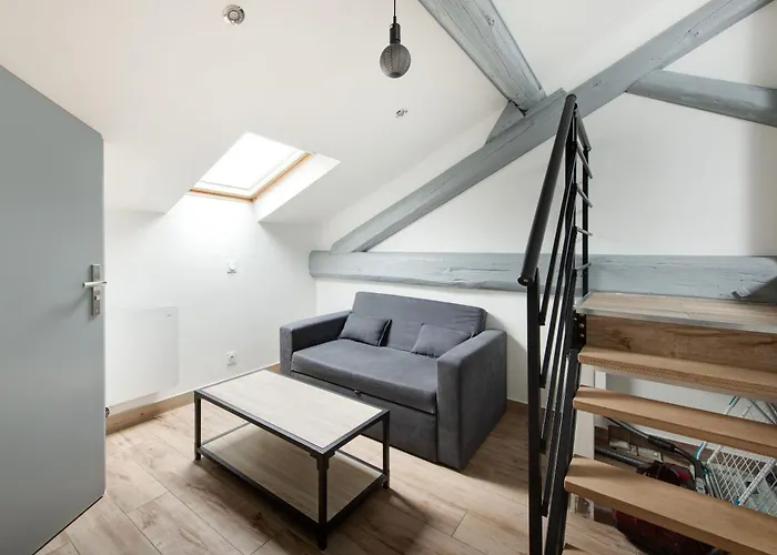 Appartement Cosy Duplex rénové parking gratuit Lyon 9