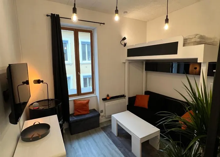 Appartement centre de lyon