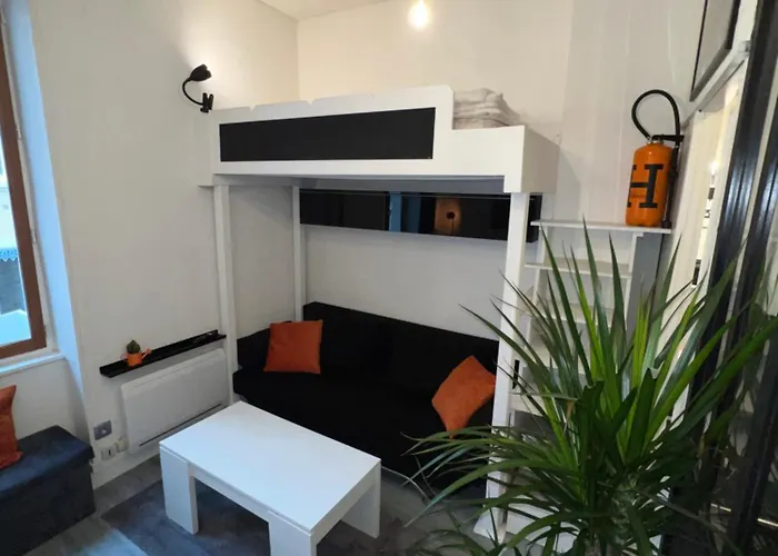 Appartement centre de lyon
