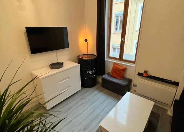 Appartement centre de lyon