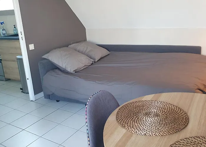 Appartement Appt T1 Lyon 3 - 7ème ciel