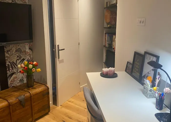 Chambre Chez L'Habitant Centre Ville De Lyon