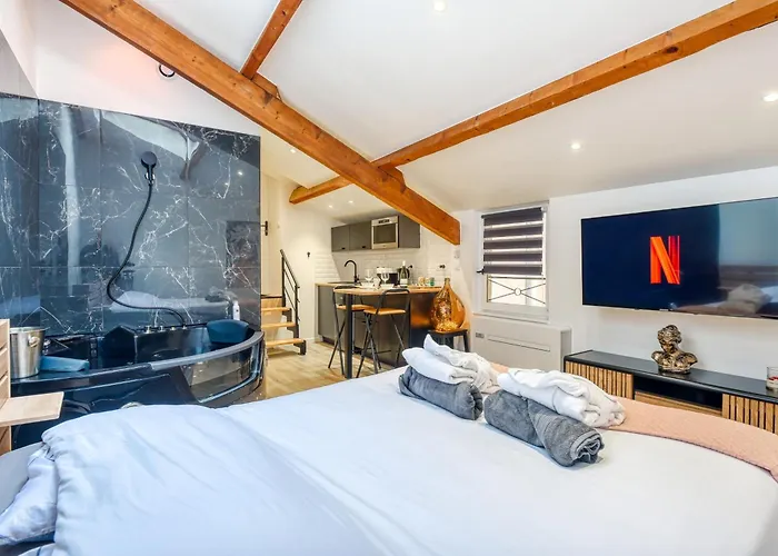 Appartement NEW / Belle et Rebelle avec jacuzzi à Lyon