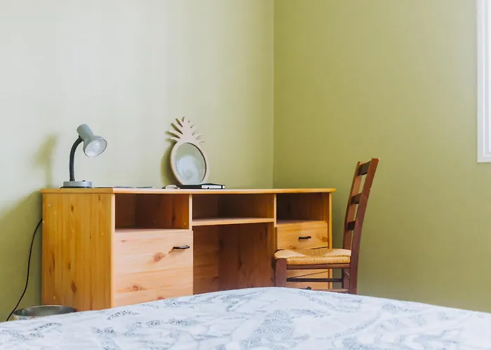 Appartement Paisible à Lyon - 2 Belles Chambres Privées