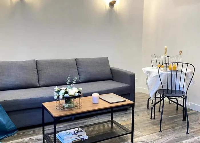 Beautiful One-Bedroom Apartment- City Center Lyon