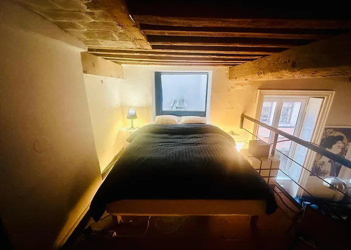 Appartement Esprit Loft Design Hyper Centre Lyon 1Er