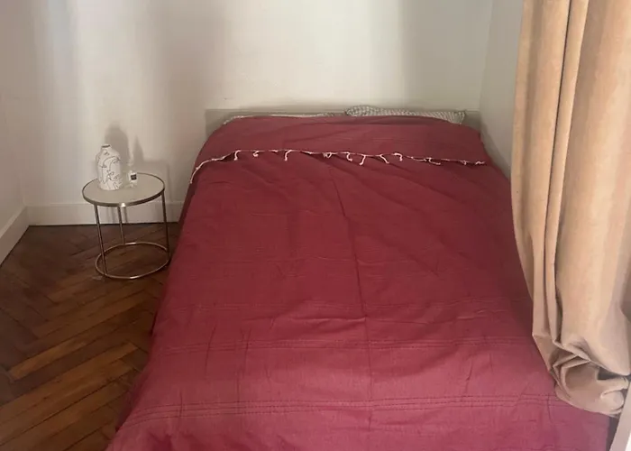 Appartement Superbe T1bis Lyon centre