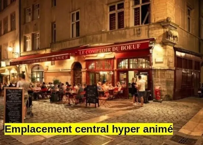 La Cachette St Jean, Calme et Sérénité Vieux Lyon