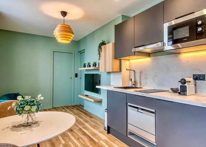 Le Cèdre Bleu - Bel appart climatisé quartier point du jour Lyon 5
